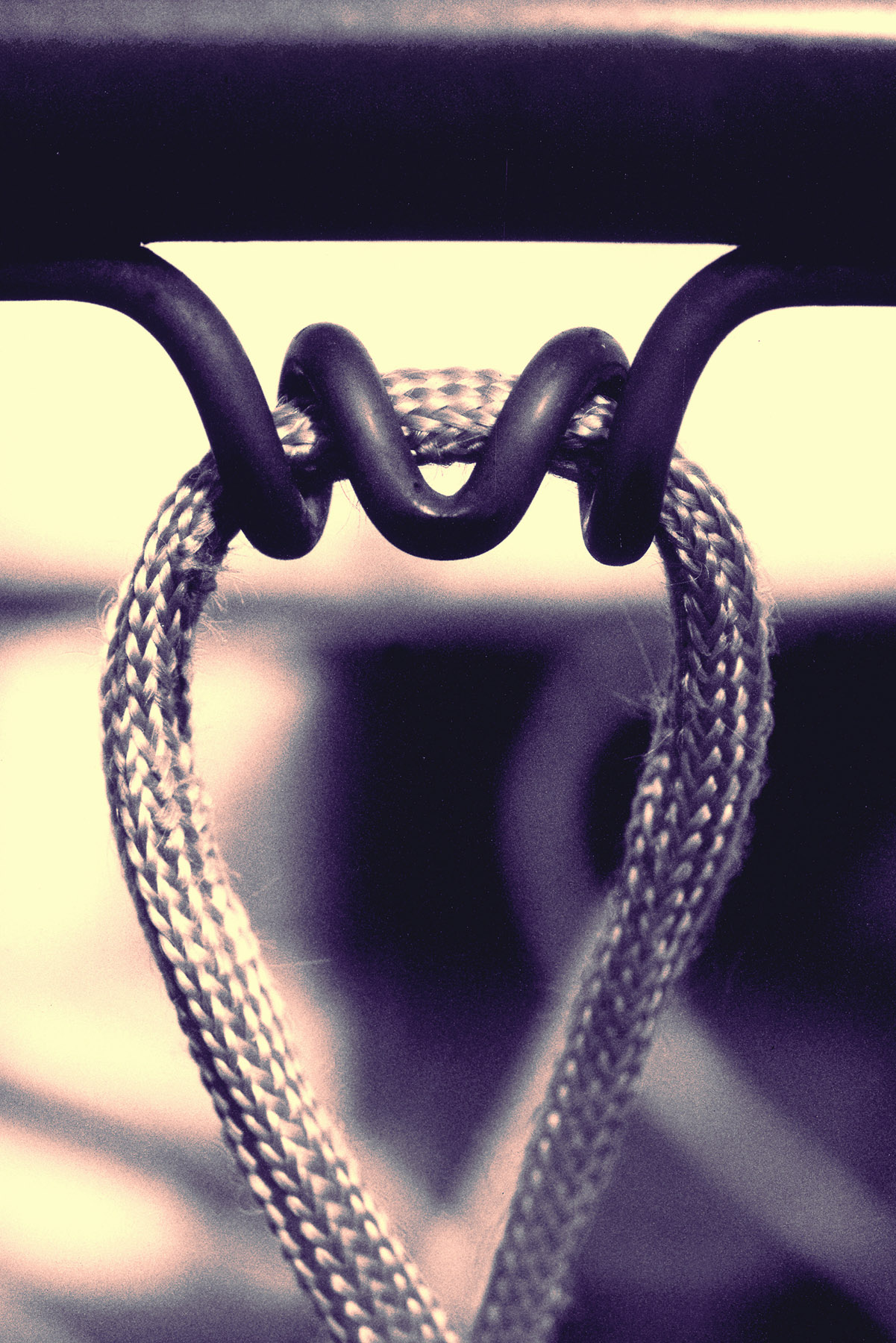 BASKETBALL-RIM-FRONT.www