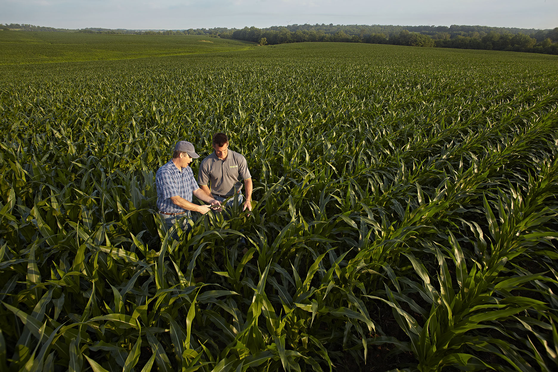 Corn_Library_5_069