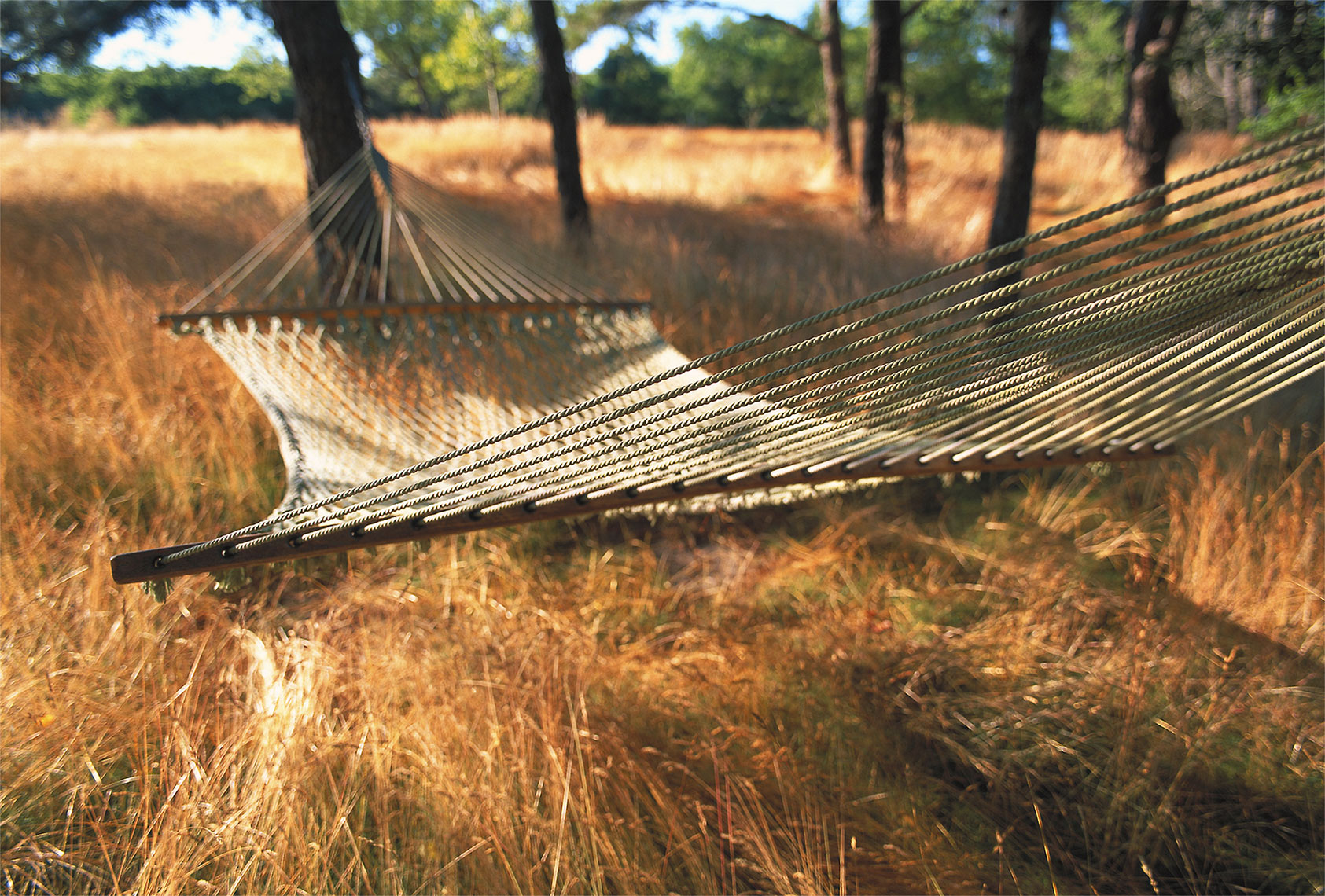 NANTUCKET_HAMMOCK.jpg