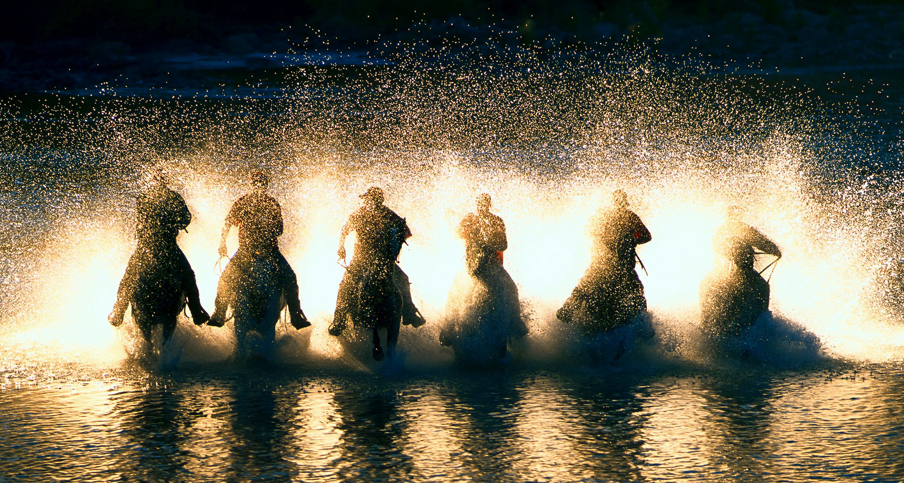 SIX_HORSES_IN_RIVER.www